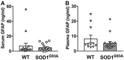 Blood Level of Glial Fibrillary Acidic Protein (GFAP) Does not Correlate With Disease Progression in a Rat Model of Familial ALS (SOD1G93A Transgenic)